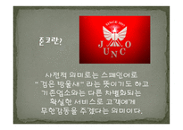 준코 사례조사보고서-3