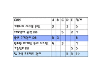 Auction의 정보시스템 전략계획-12