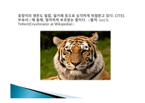 생존을 위협받고 있는 세계 각국의 생물종을 보호하기 위해 국제거래를 규제하고 있는 CITES-12