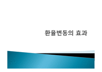 환율 변동의 효과-1