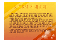 고객관계 관리보고서-8