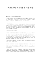 서브프라임 모기지론과 미친 영향-1
