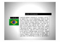 브라질 경기변동1-5