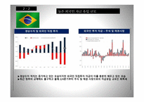 브라질 경기변동1-11