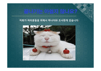 프랜차이즈 보고서-16