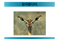 이기는 정주영 지지 않는 이병철-12