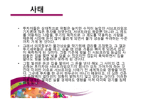 서브프라임 모기지론 subprime mortgage loan-5