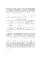 중앙 연방정부가 지방정부에 예산지원 시 부과하는 조건의 유형별 분석-3