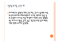 스웨덴 시스타 시스타의 형성 배경과 진화-20