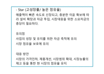 BCG MATRIX The Boston Consulting Group Matrix개론-13