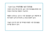 BCG MATRIX The Boston Consulting Group Matrix개론-14