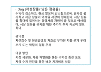 BCG MATRIX The Boston Consulting Group Matrix개론-17