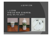 개미의 페로몬을 이용한 개미퇴치제-4