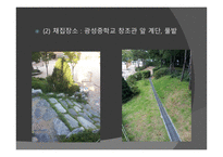개미의 페로몬을 이용한 개미퇴치제-5