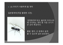 개미의 페로몬을 이용한 개미퇴치제-6