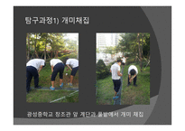 개미의 페로몬을 이용한 개미퇴치제-11