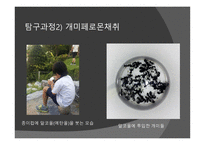개미의 페로몬을 이용한 개미퇴치제-12