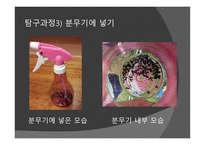 개미의 페로몬을 이용한 개미퇴치제-13