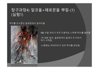개미의 페로몬을 이용한 개미퇴치제-14