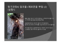 개미의 페로몬을 이용한 개미퇴치제-15