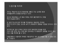 개미의 페로몬을 이용한 개미퇴치제-17