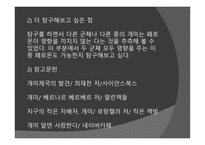 개미의 페로몬을 이용한 개미퇴치제-18
