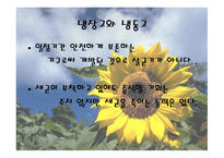 식자재 관리 요령-5