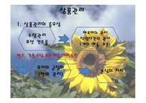 식자재 관리 요령-10