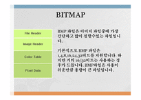 BIT MAP-2