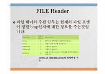 BIT MAP-3