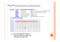 영상처리 비트맵 구조-3