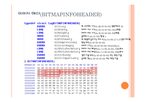 영상처리 비트맵 구조-4