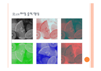 영상처리 비트맵 구조-9