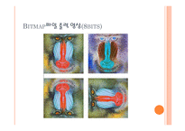 영상처리 비트맵 구조-18