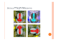 영상처리 비트맵 구조-19