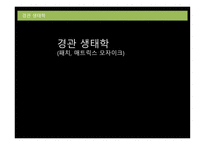경관 생태학 패치 매트릭스 모자이크-1