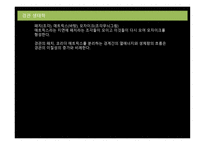 경관 생태학 패치 매트릭스 모자이크-14