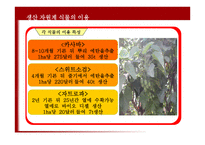 바이오에너지-11