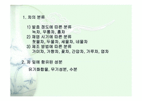 녹차의 주요 성분 연구 2-3