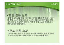 야생자원 습지 1-9