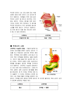 효소와 소화-2