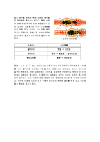효소와 소화-4