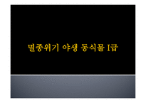 멸종위기 야생동식물1-19