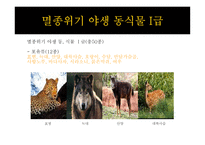 멸종위기 야생동식물1-20