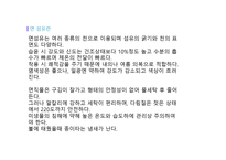 면섬유 면직물-3