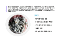 면섬유 면직물-9