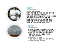 면섬유 면직물-11