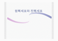 원핵세포와 진핵세포-1