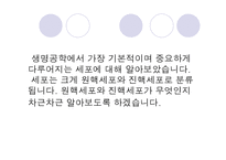 원핵세포와 진핵세포-3