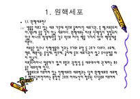 원핵세포와 진핵세포-4